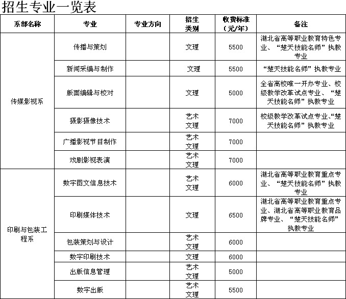 儿童篮球基本功训练内容怎么写的_2