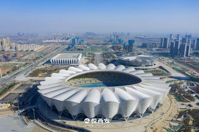 绳梯训练篮球_2